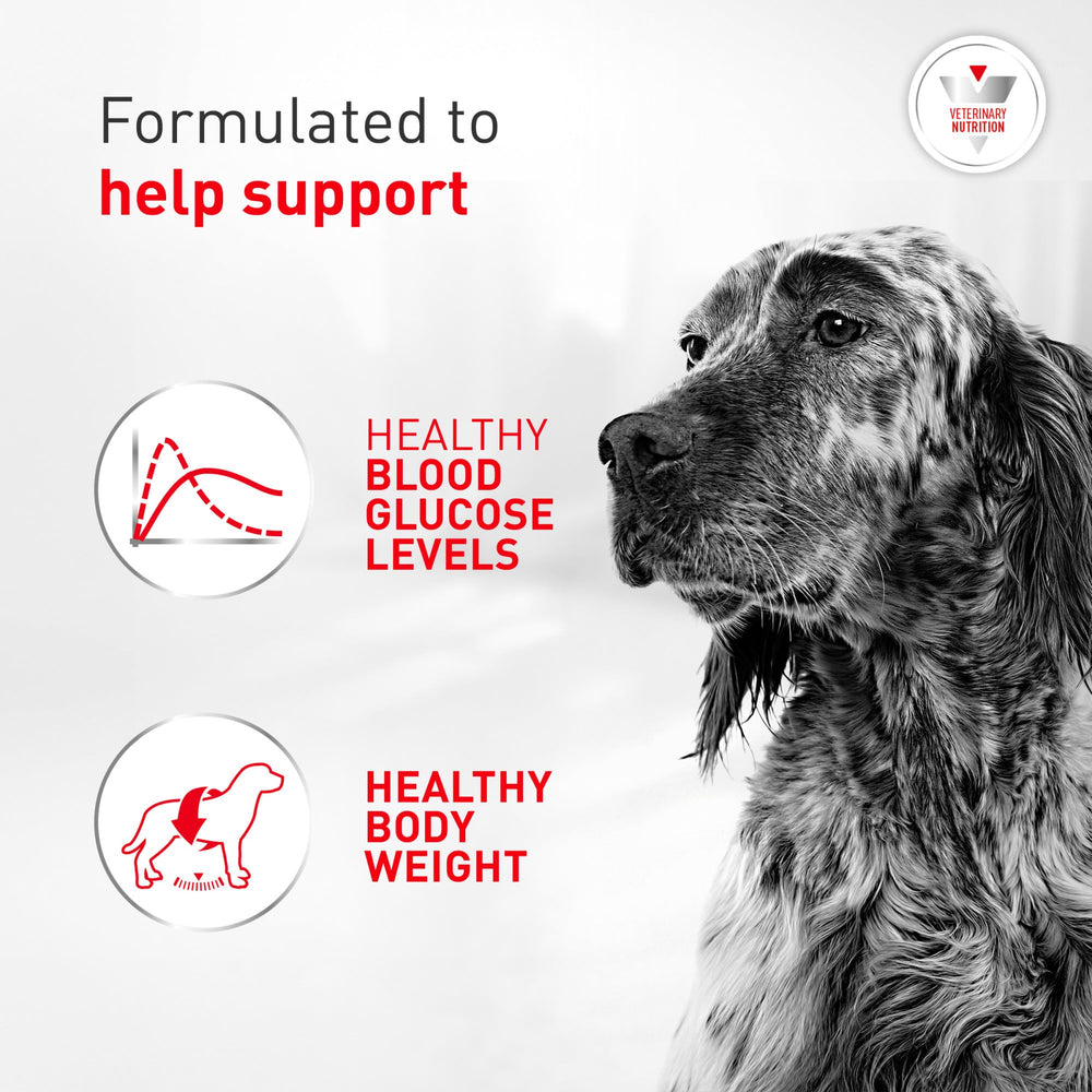 ROYAL CANIN comparaison taille granulés pour adaptation à la mâchoire