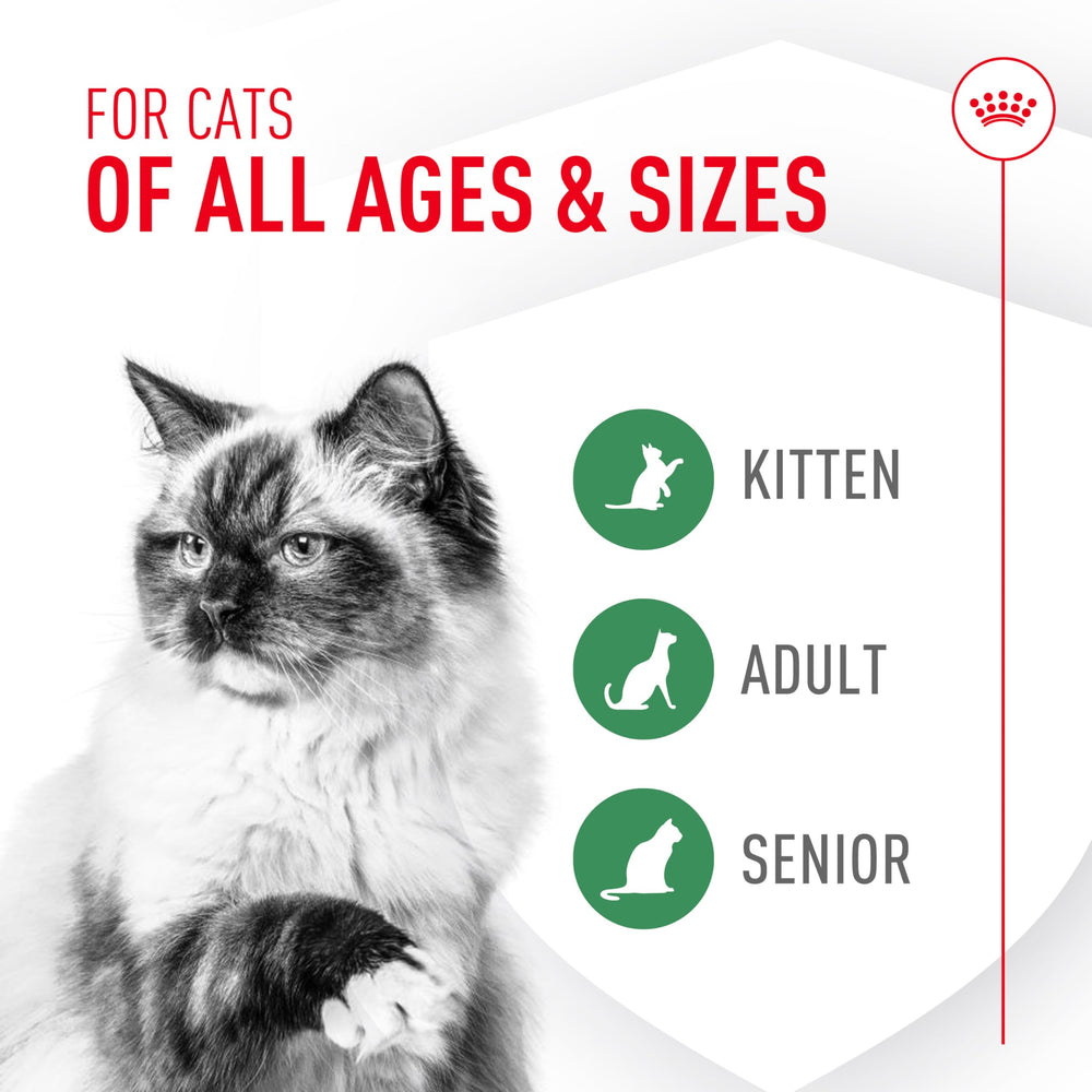 Royal Canin comparaison taille sachet pour dosage pratique quotidien