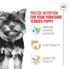 ROYAL CANIN bol montrant ingrédients sélectionnés pour la croissance et santé