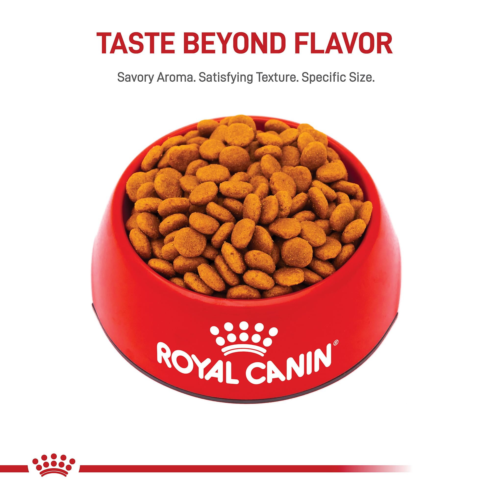 ROYAL CANIN composition d'ingrédients illustrant la qualité et la digestibilité
