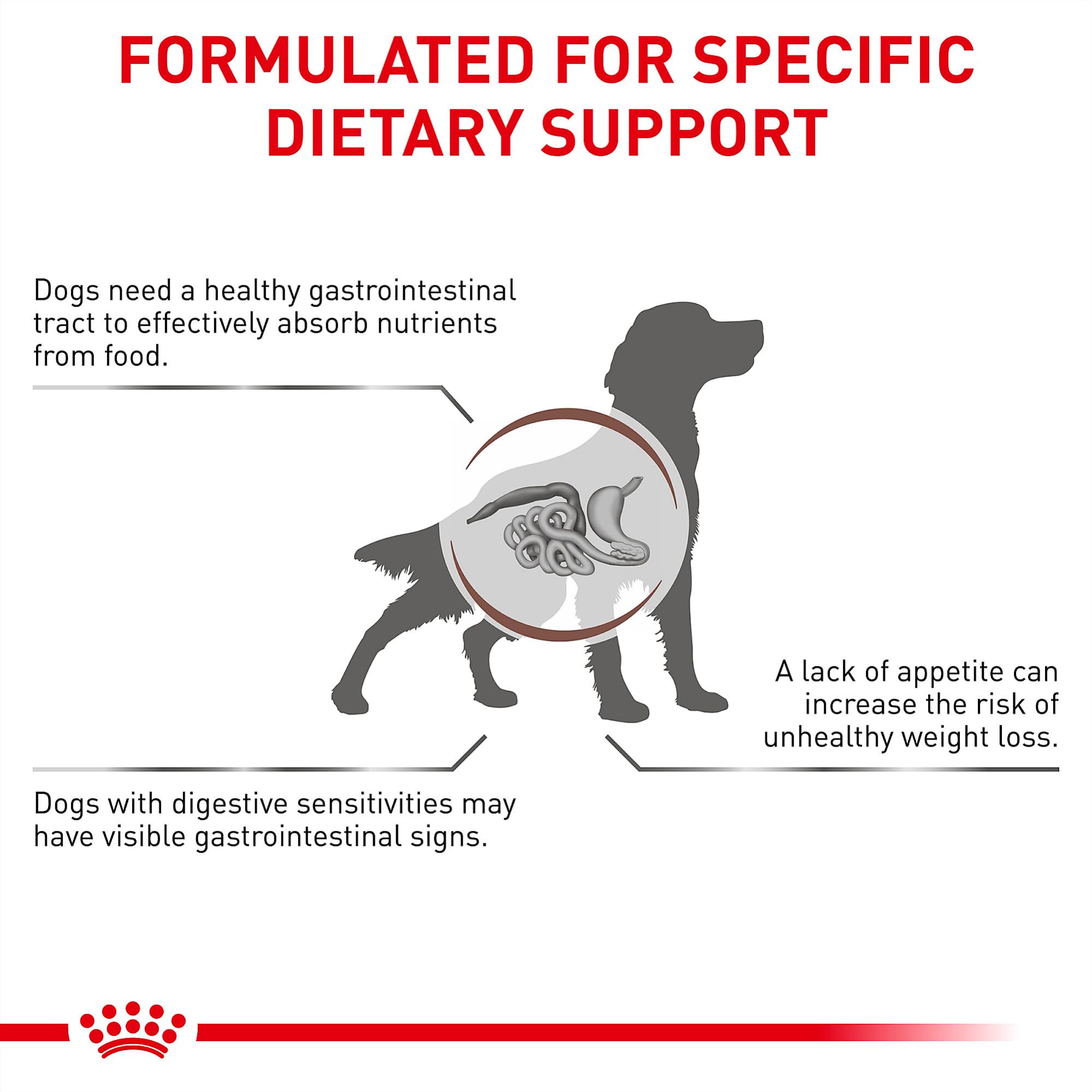 ROYAL CANIN close sur sources d'oméga‑3 pour soutien nutritionnel ciblé