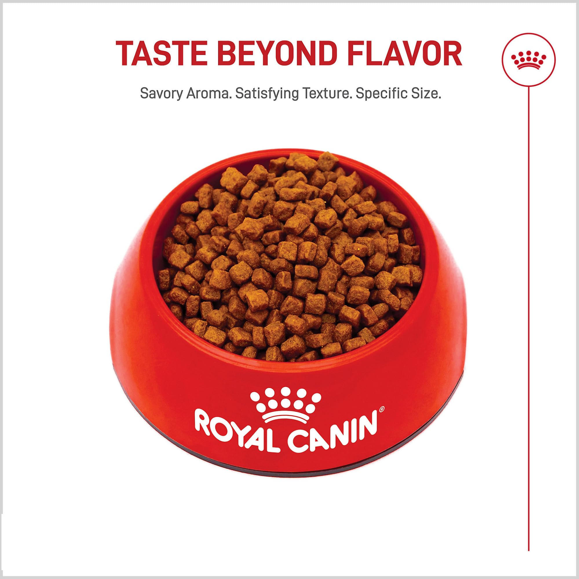 ROYAL CANIN bol portionné montrant quantités journalières recommandées pratiques