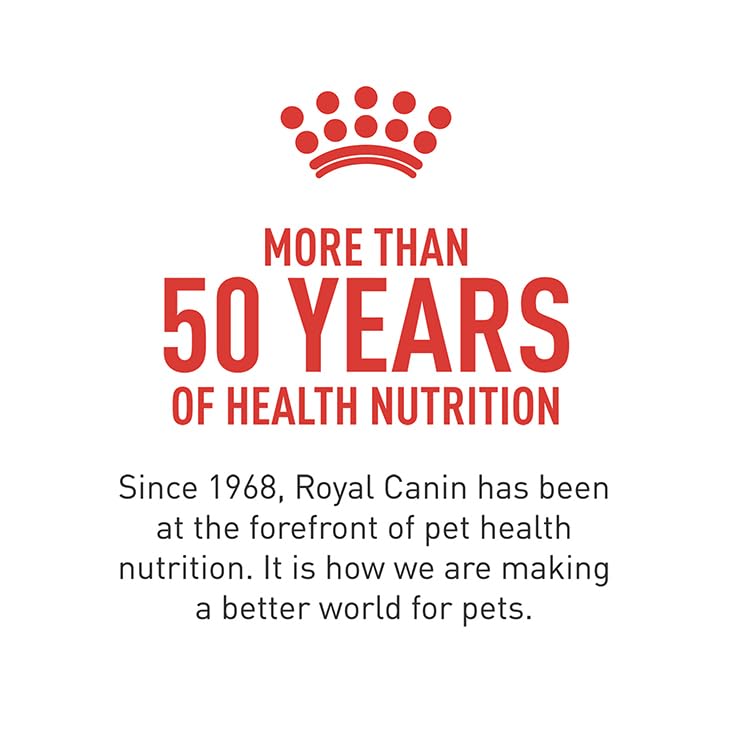 ROYAL CANIN Corgi actif en extérieur après repas soutenu nutritionnellement