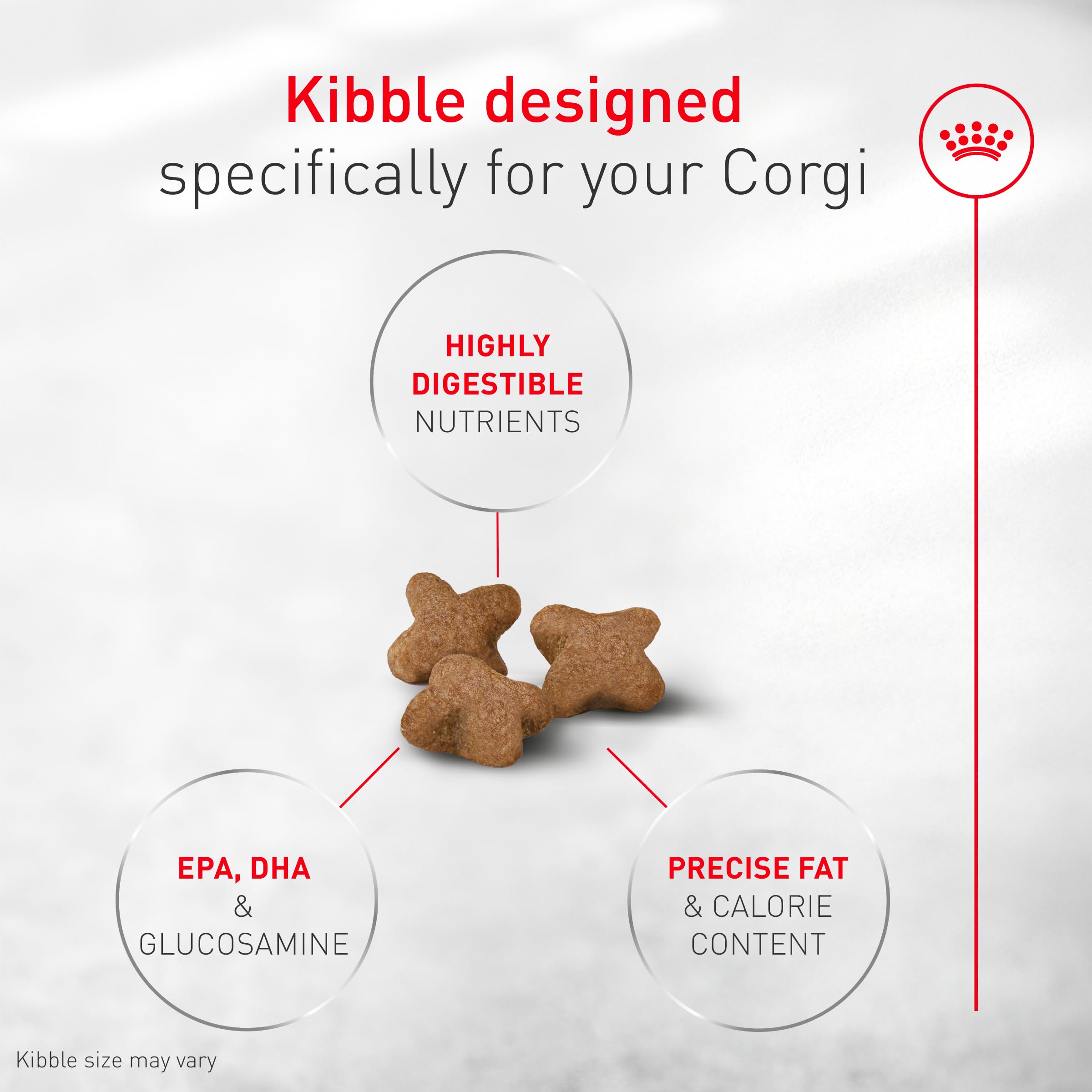 ROYAL CANIN chien mange dans sa gamelle et soutien digestif visible