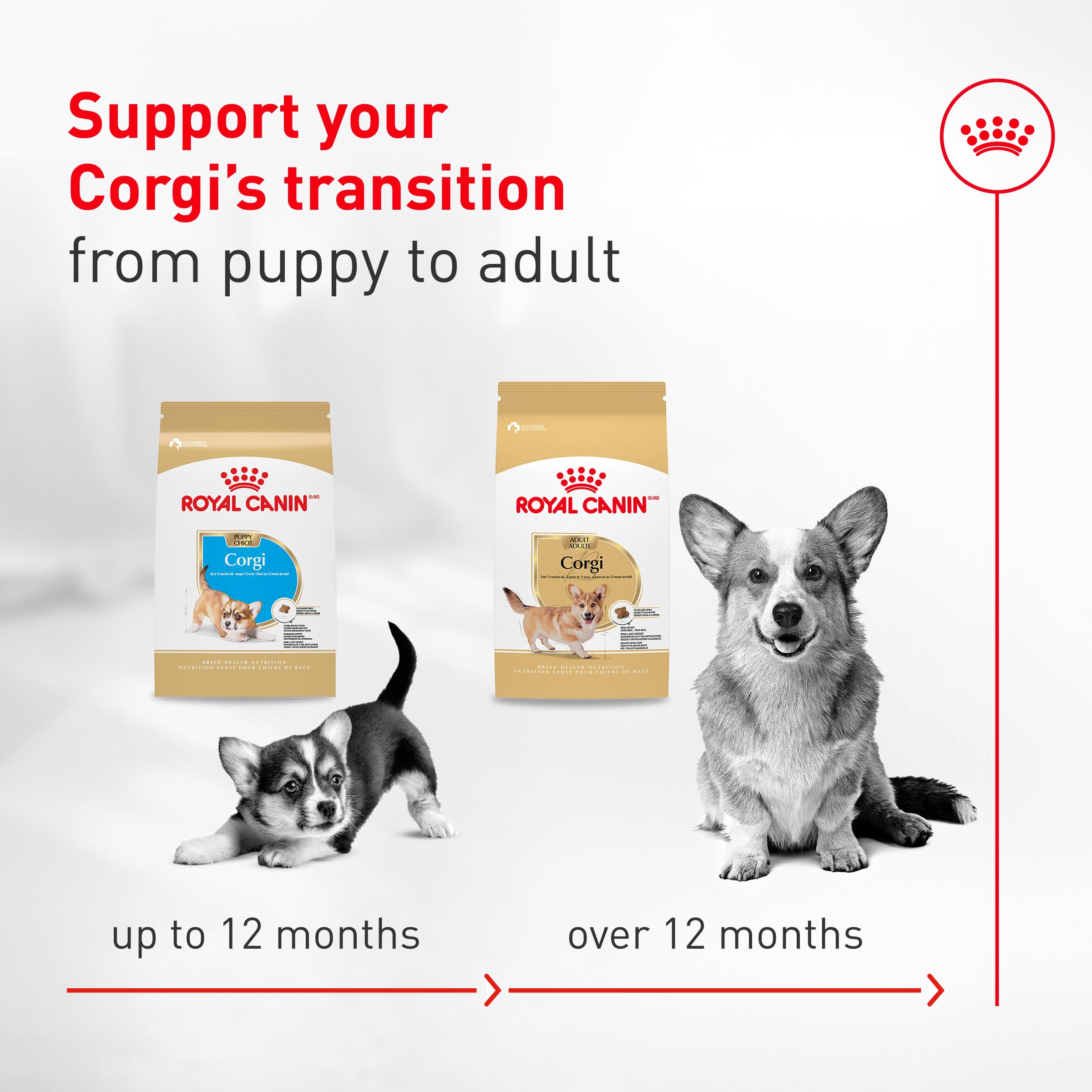 ROYAL CANIN comparaison taille croquettes pour portion adaptée