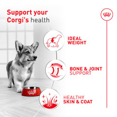 ROYAL CANIN gros plan croquette montrant texture et appétence