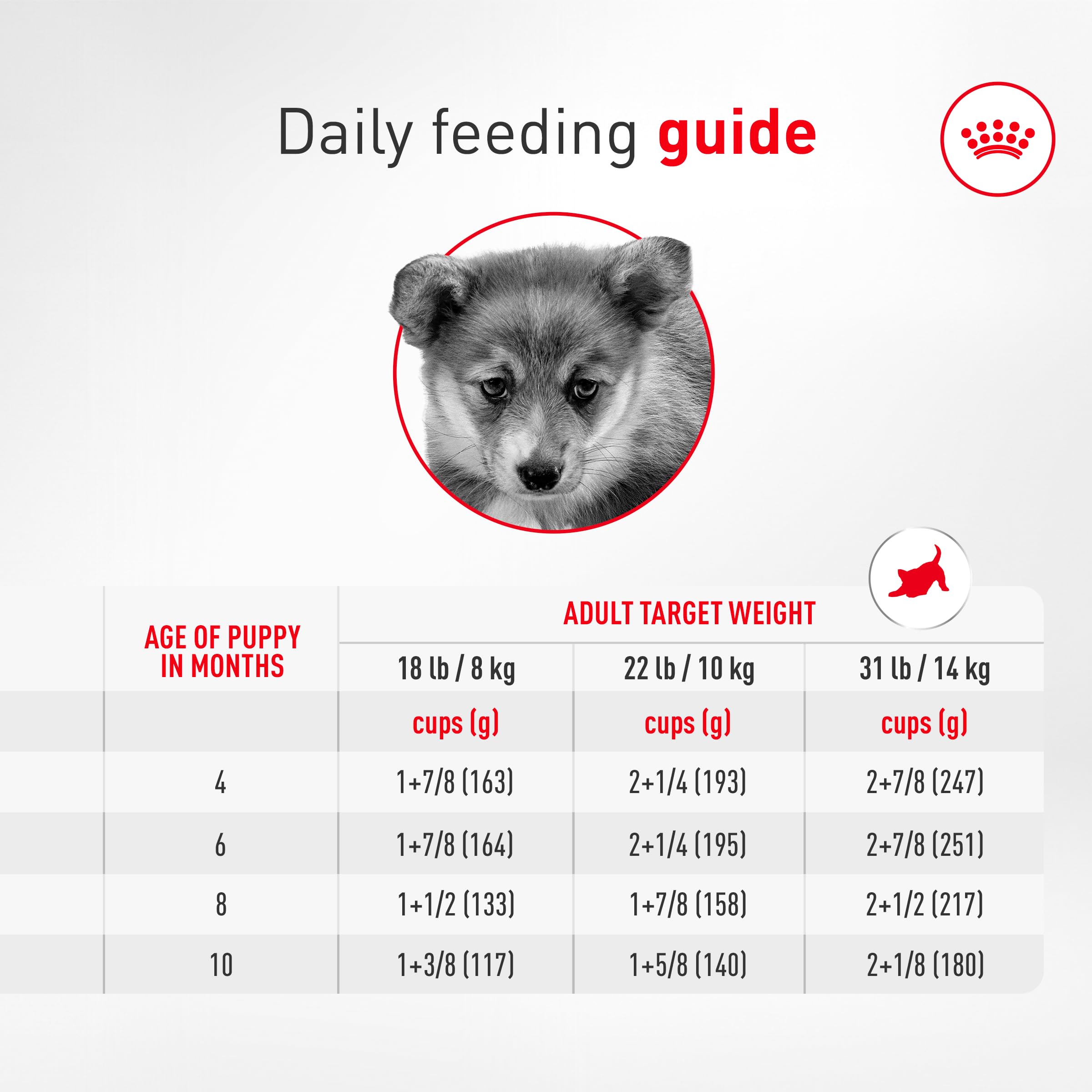 Comparaison taille croquette ROYAL CANIN Corgi Puppy adaptée à la mâchoire du Corgi