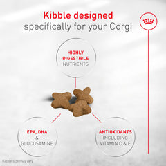 Gros plan sur croquette ROYAL CANIN Corgi Puppy montrant texture et appétence