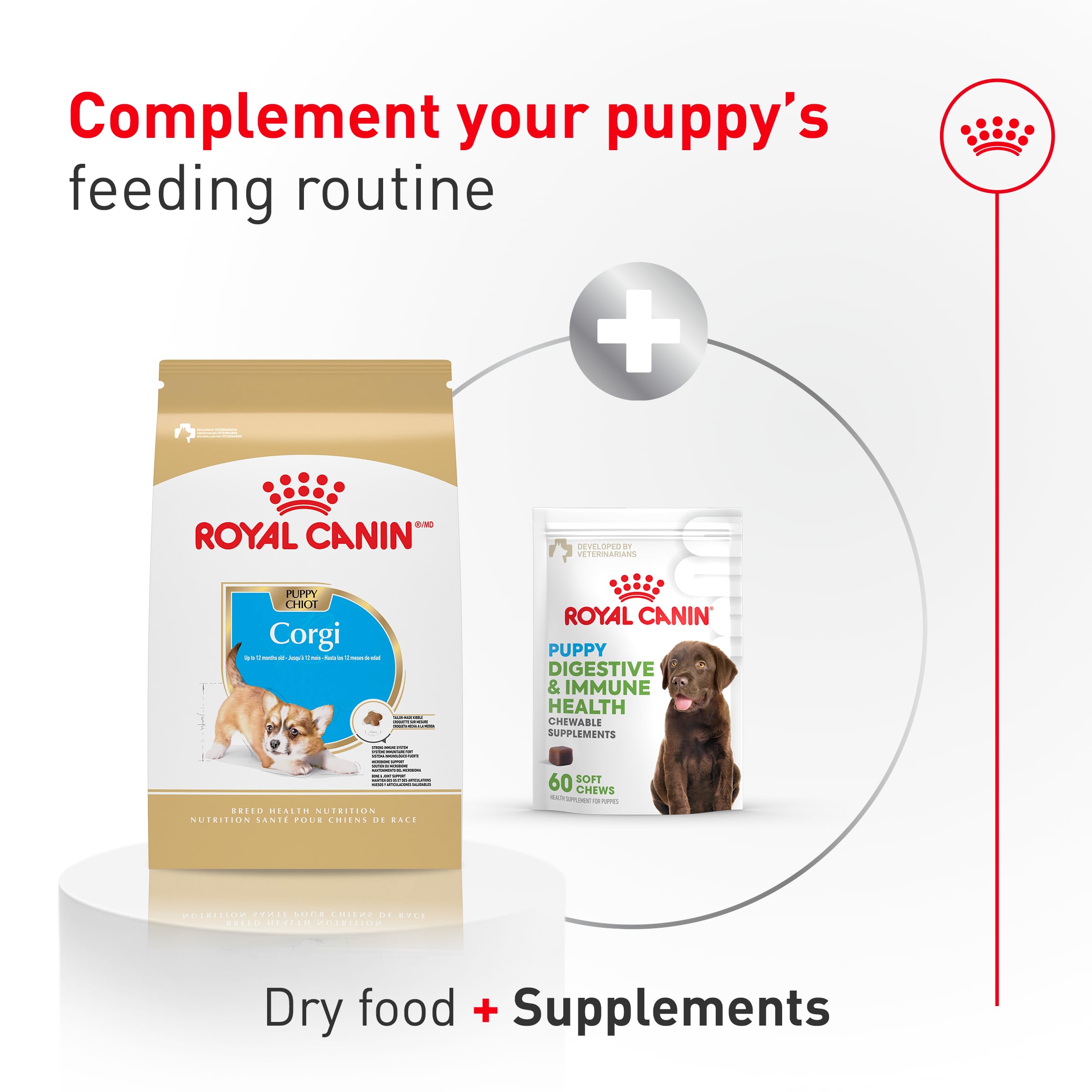Présentation des ingrédients secs ROYAL CANIN Corgi Puppy pour digestion facilitée