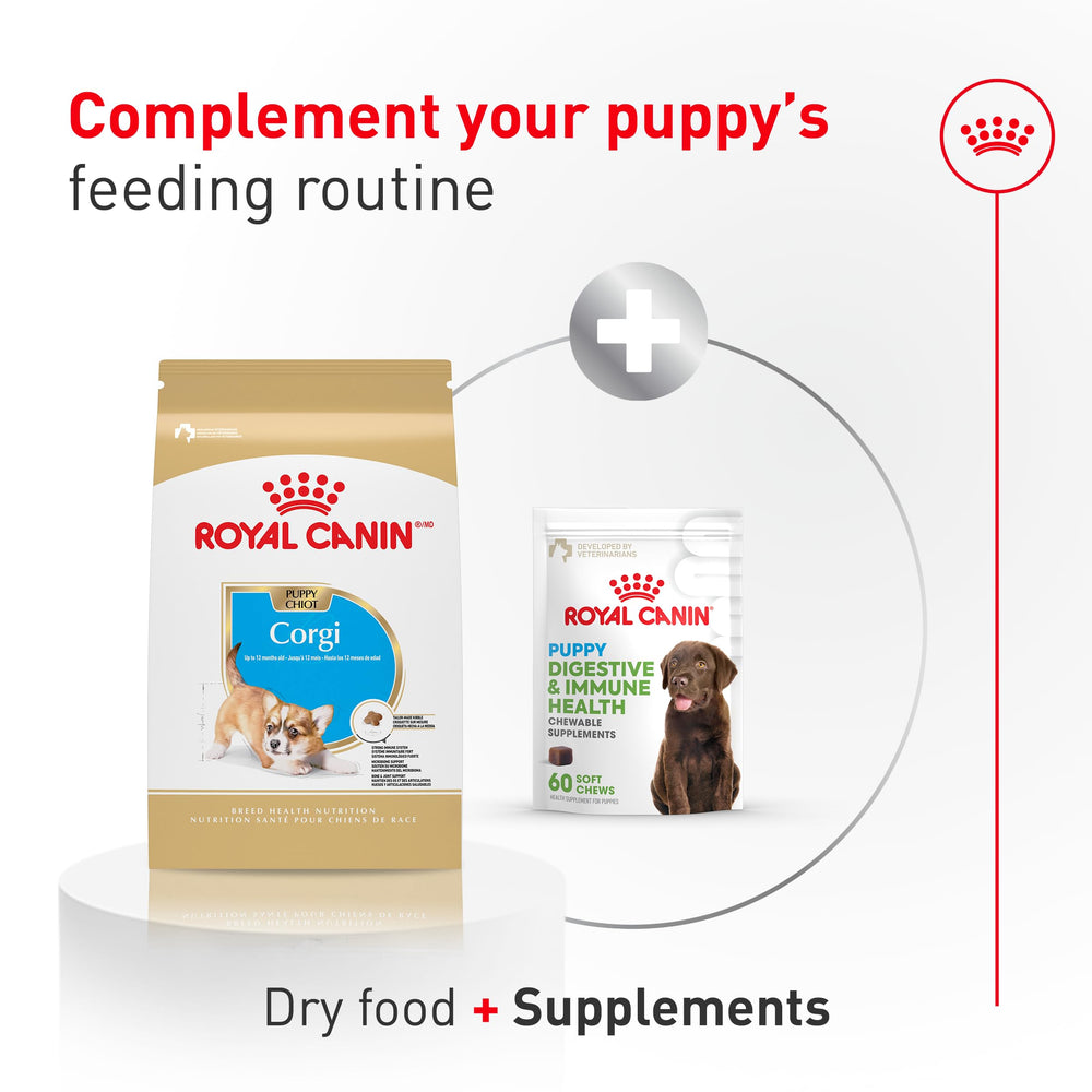 Présentation des ingrédients secs ROYAL CANIN Corgi Puppy pour digestion facilitée