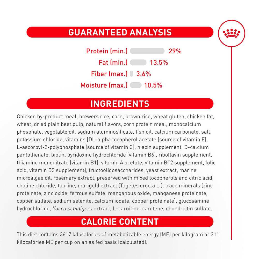 Consultation vétérinaire avec sac ROYAL CANIN Corgi Puppy illustrant recommandation professionnelle