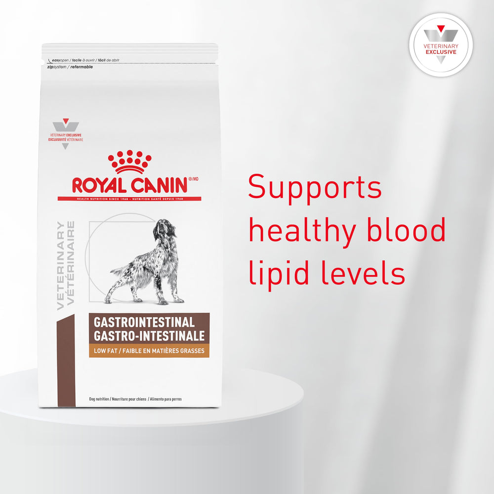 ROYAL CANIN détail de la forme des croquettes pour mastication adaptée