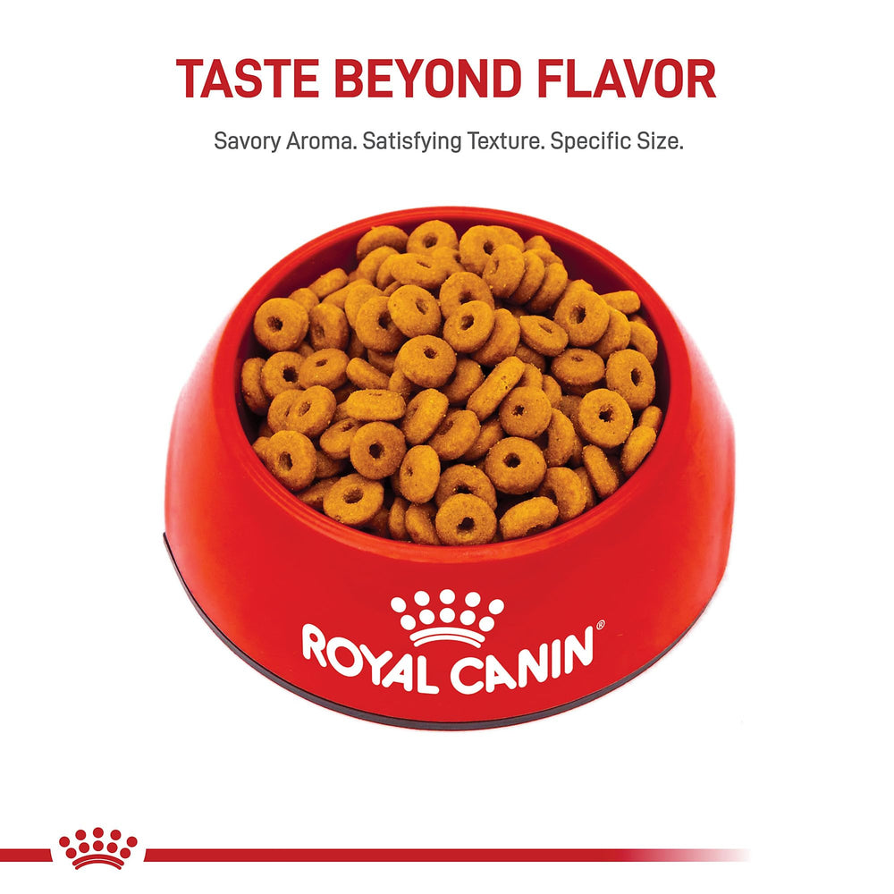 ROYAL CANIN croquette forme annulaire ralentit la prise et favorise mastication