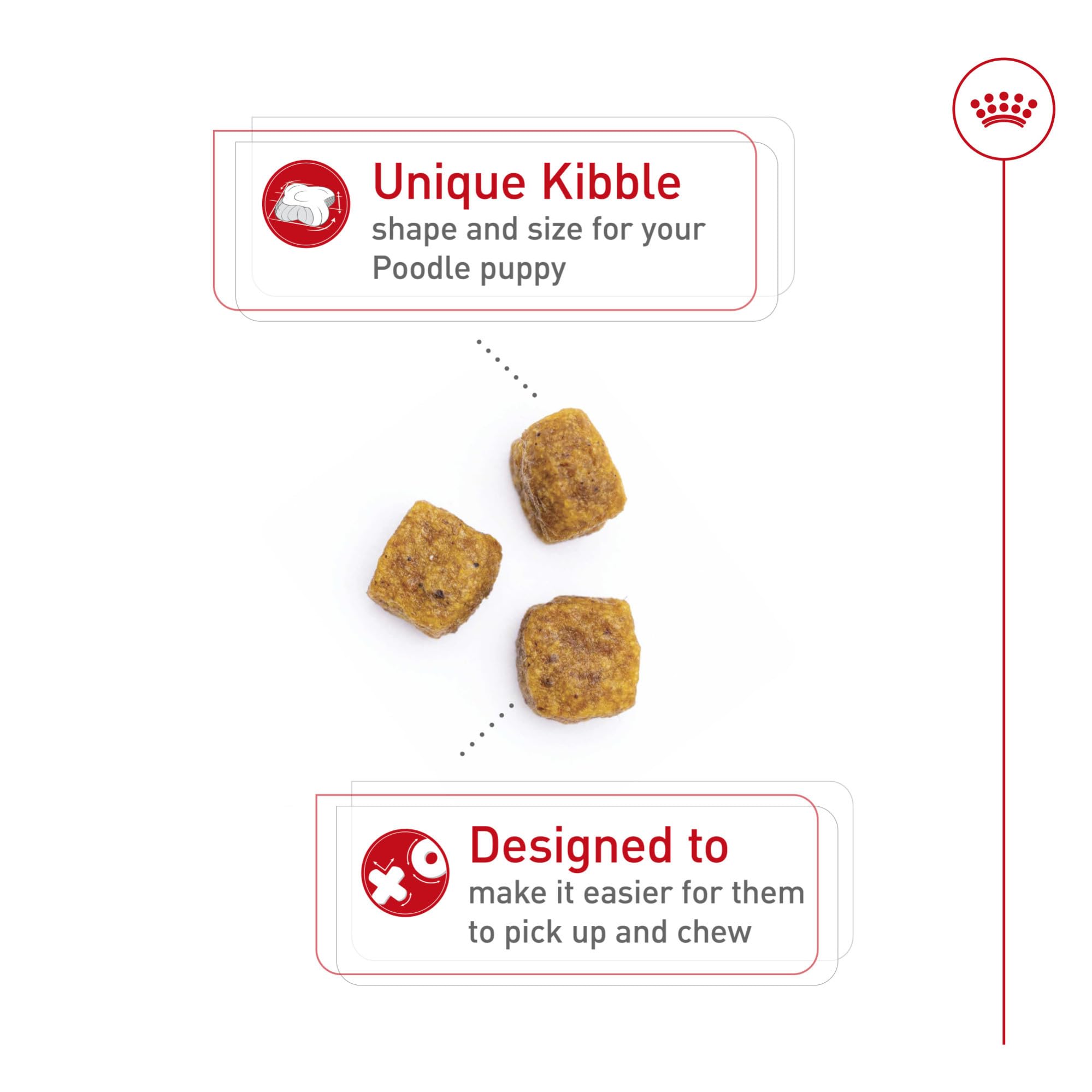 ROYAL CANIN gros plan sur la croquette montrant la texture et facilité de mastication