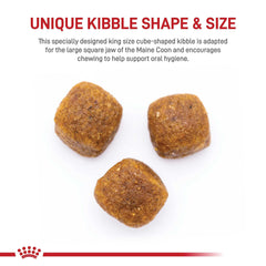 Royal Canin gros plan sur la croquette montrant texture et forme adaptée pour une bonne mastication