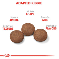 ROYAL CANIN gros plan croquette montrant la texture et bénéfice mastication