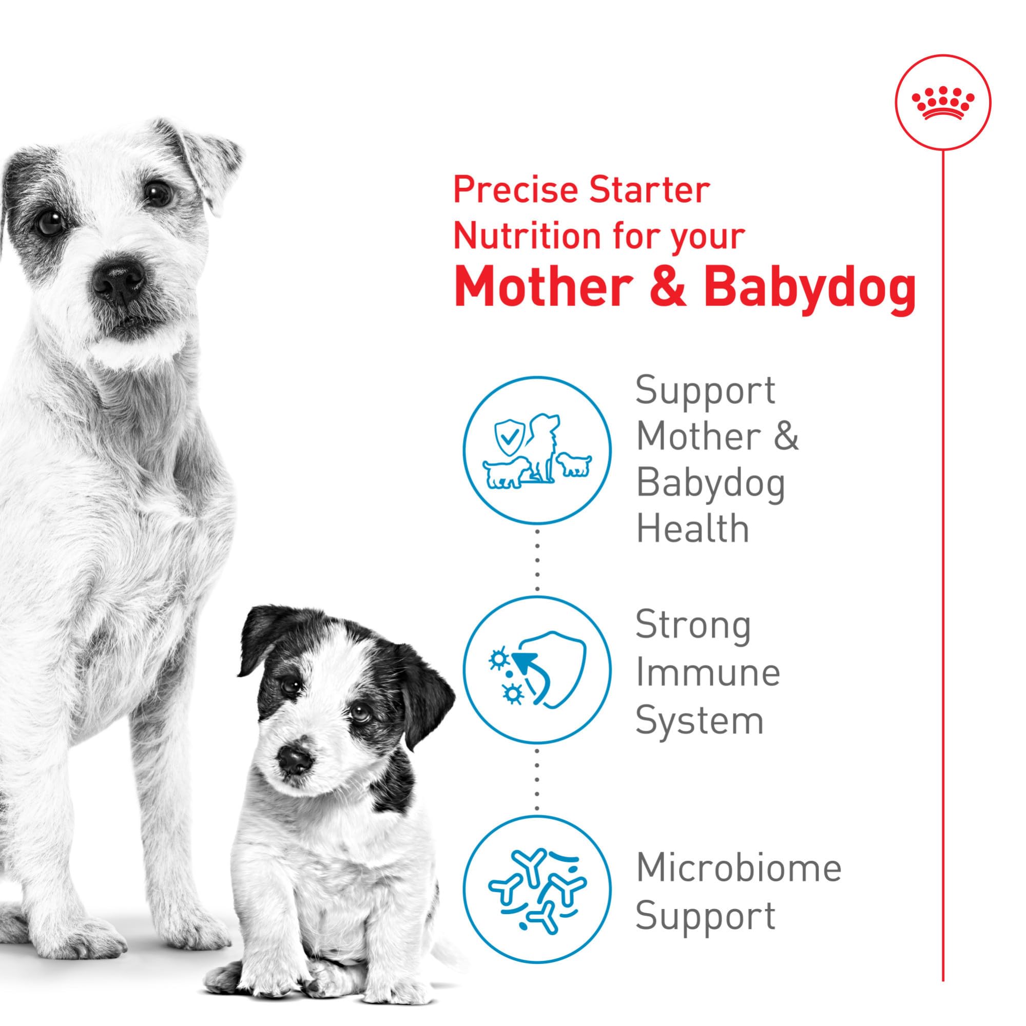 ROYAL CANIN croquette réhydratée en porridge facile à consommer pour chiots