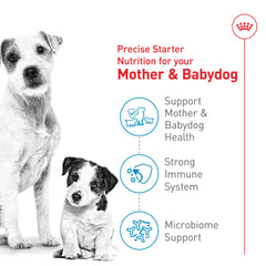 ROYAL CANIN croquette réhydratée en porridge facile à consommer pour chiots