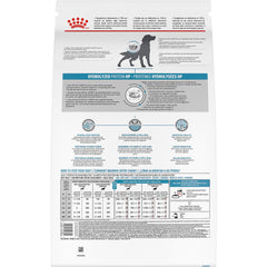 ROYAL CANIN croquettes dans bol — portion adaptée pour un repas équilibré