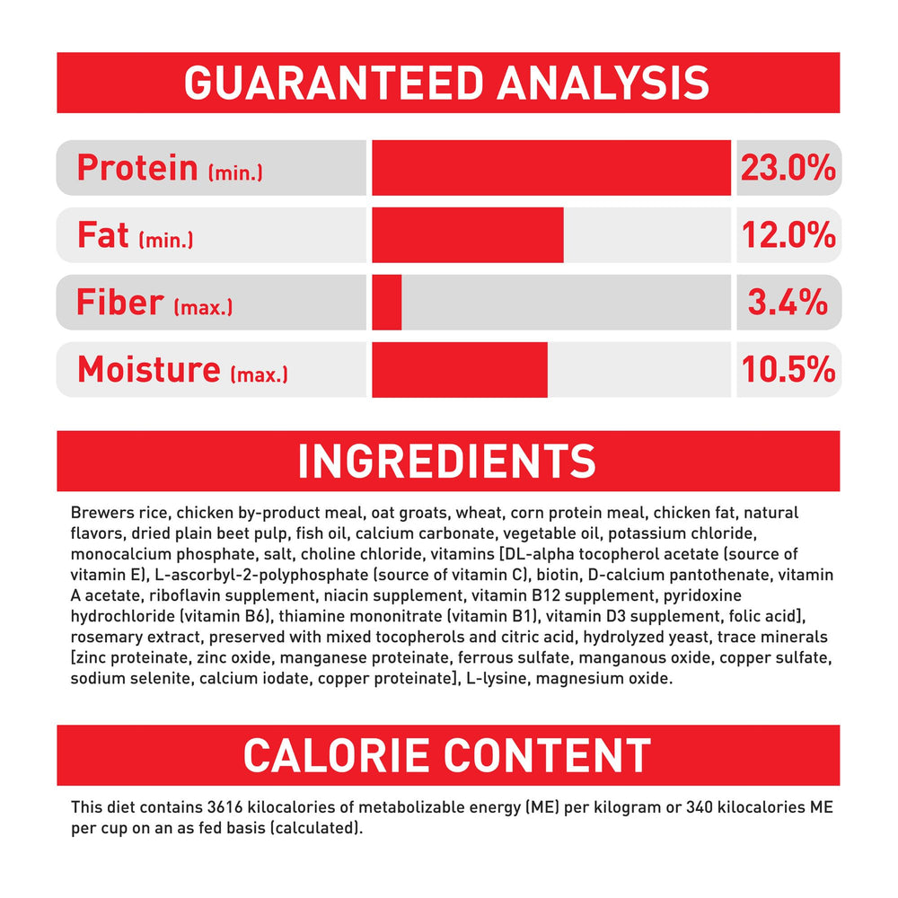ROYAL CANIN croquettes dans un bol indiquant une portion équilibrée et appétissante