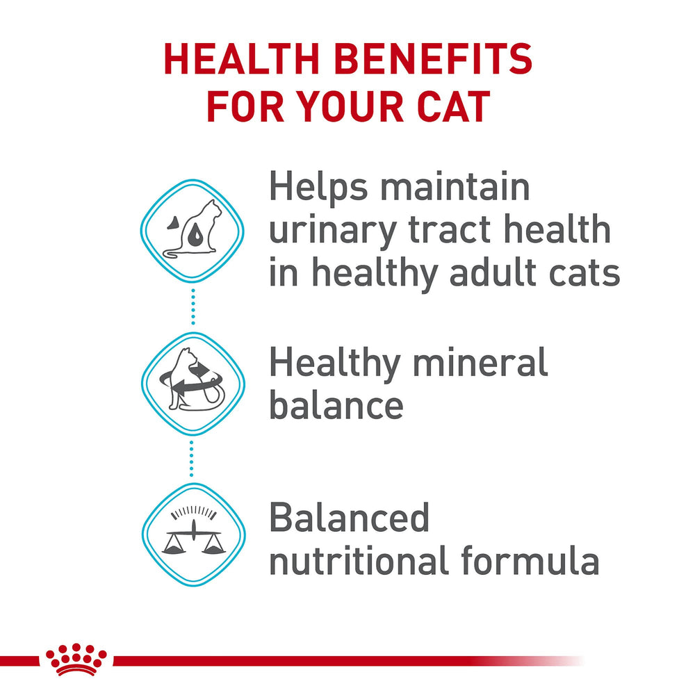 Royal Canin croquettes dans la main illustrant taille et portion