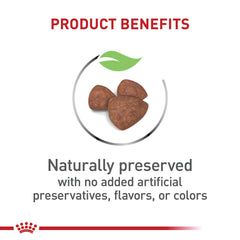 Royal Canin croquettes en main montrant taille adaptée aux mâchoires miniatures