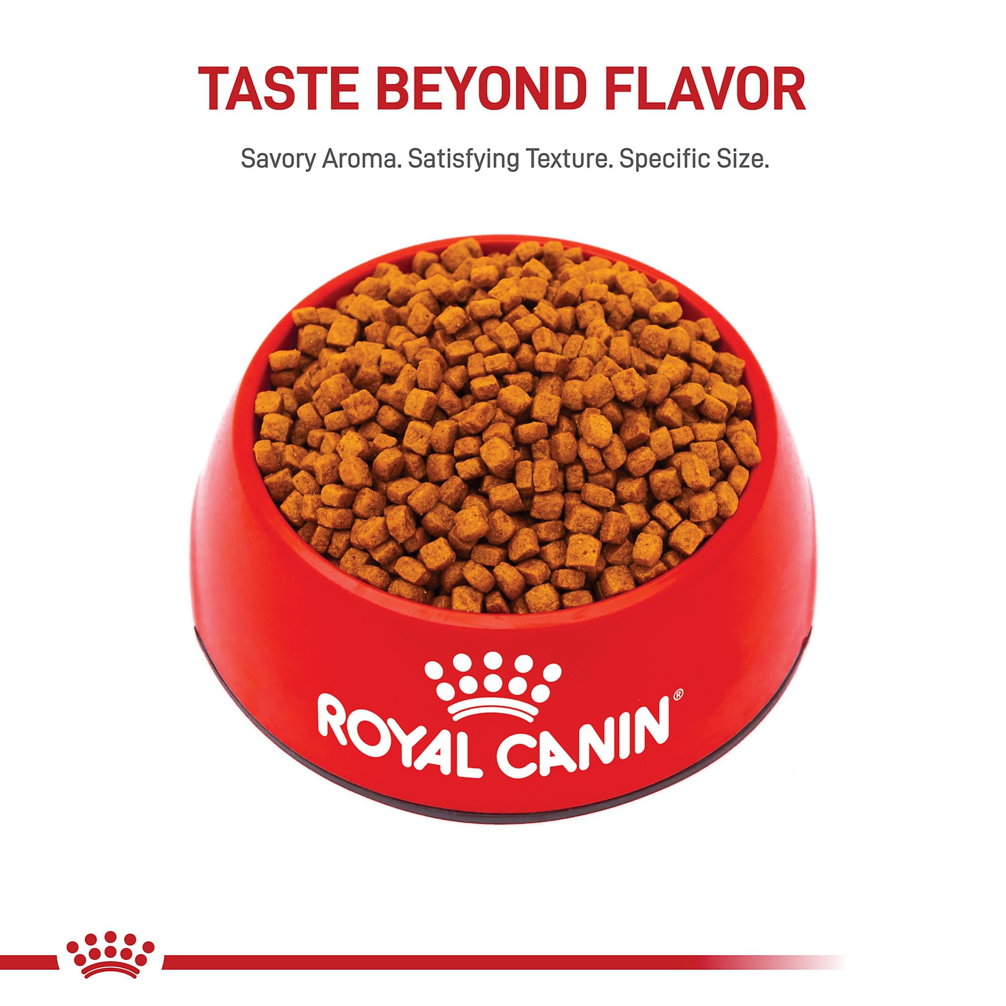 ROYAL CANIN mise en avant des ingrédients montrant qualité des protéines et prébiotiques