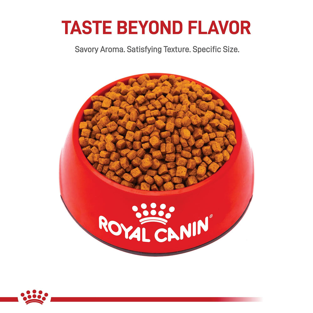 ROYAL CANIN mise en avant des ingrédients montrant qualité des protéines et prébiotiques