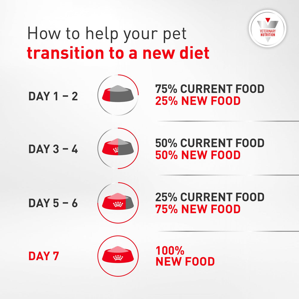 ROYAL CANIN croquettes près de la main du vétérinaire pour conseil pro