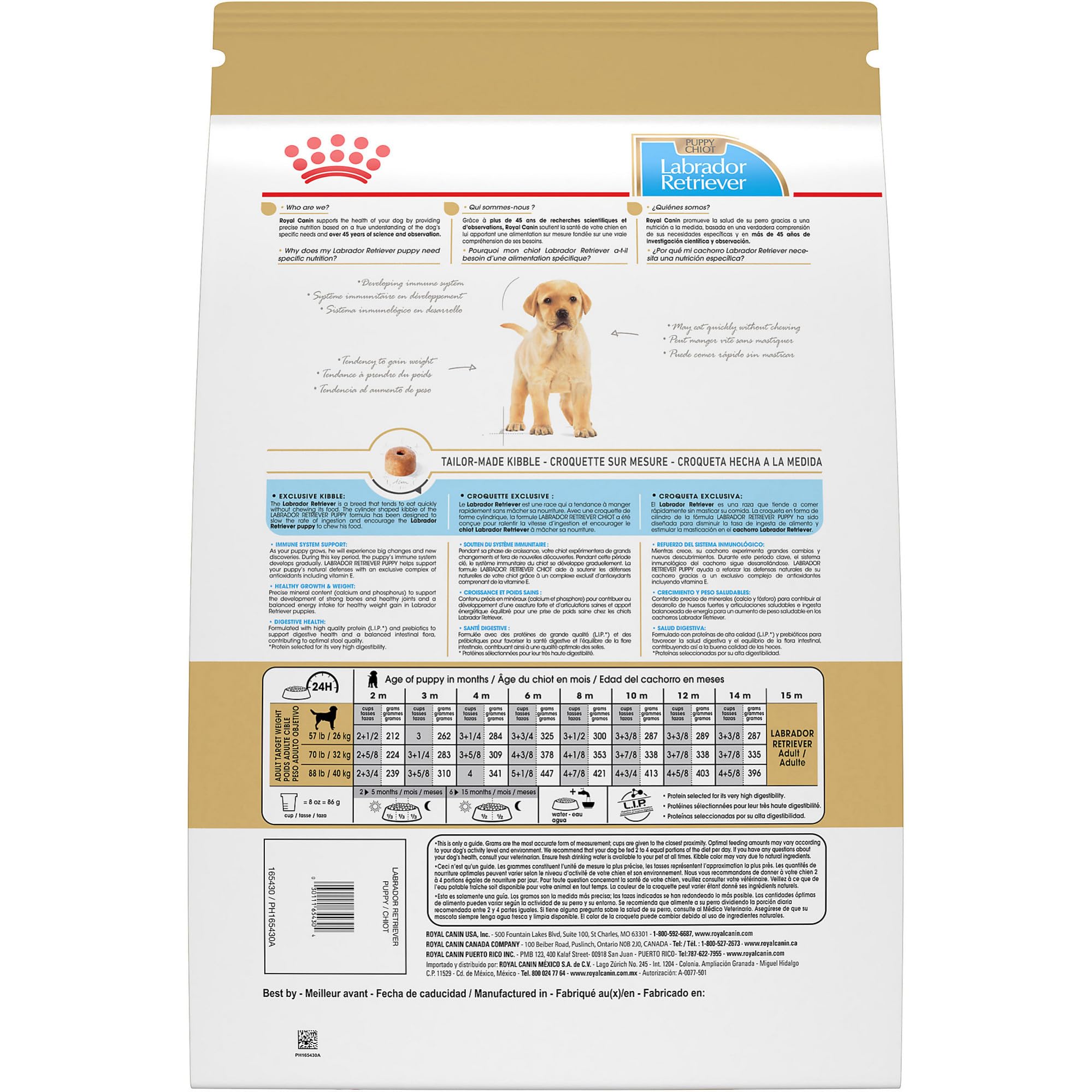 Royal Canin portions vues à l'échelle montrant taille de croquette adaptée au Labrador
