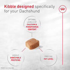 ROYAL CANIN sac ouvert révèlant croquettes et qualité d'apparence appétente