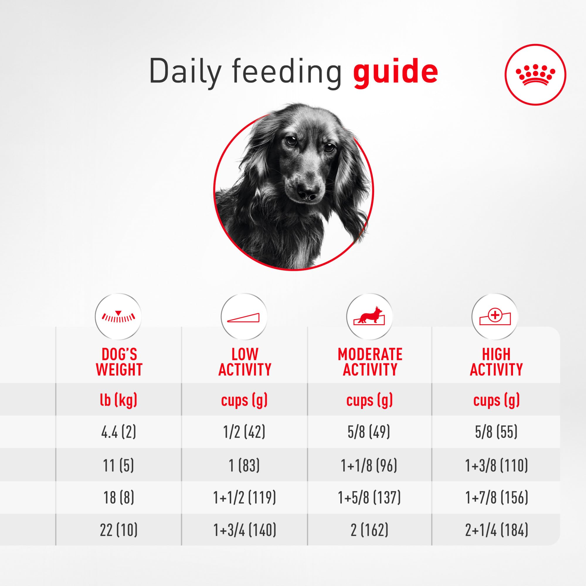 ROYAL CANIN sac stocké proprement montrant conservation et praticité pour maison