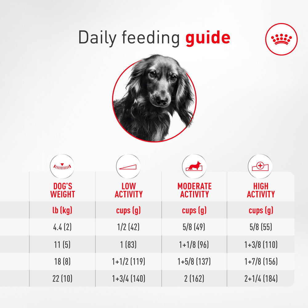 ROYAL CANIN sac stocké proprement montrant conservation et praticité pour maison