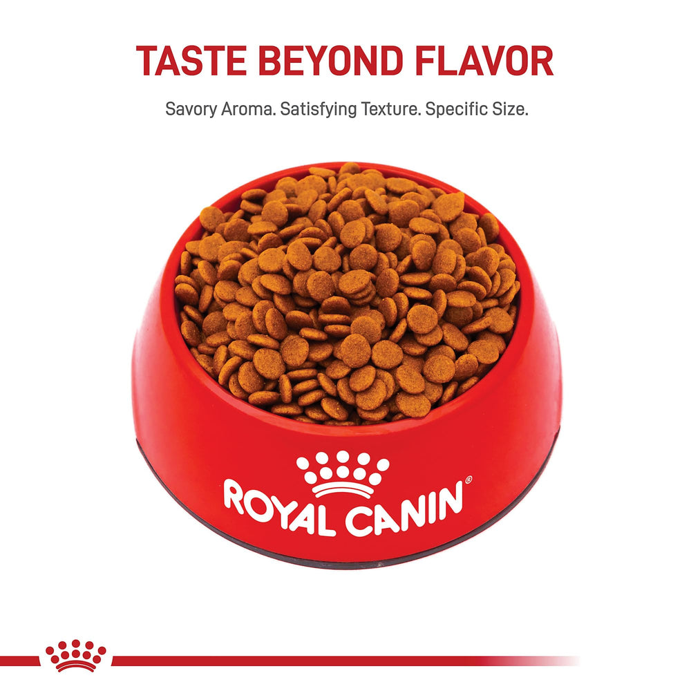 ROYAL CANIN gros plan croquette révélant la texture et facilité de mastication