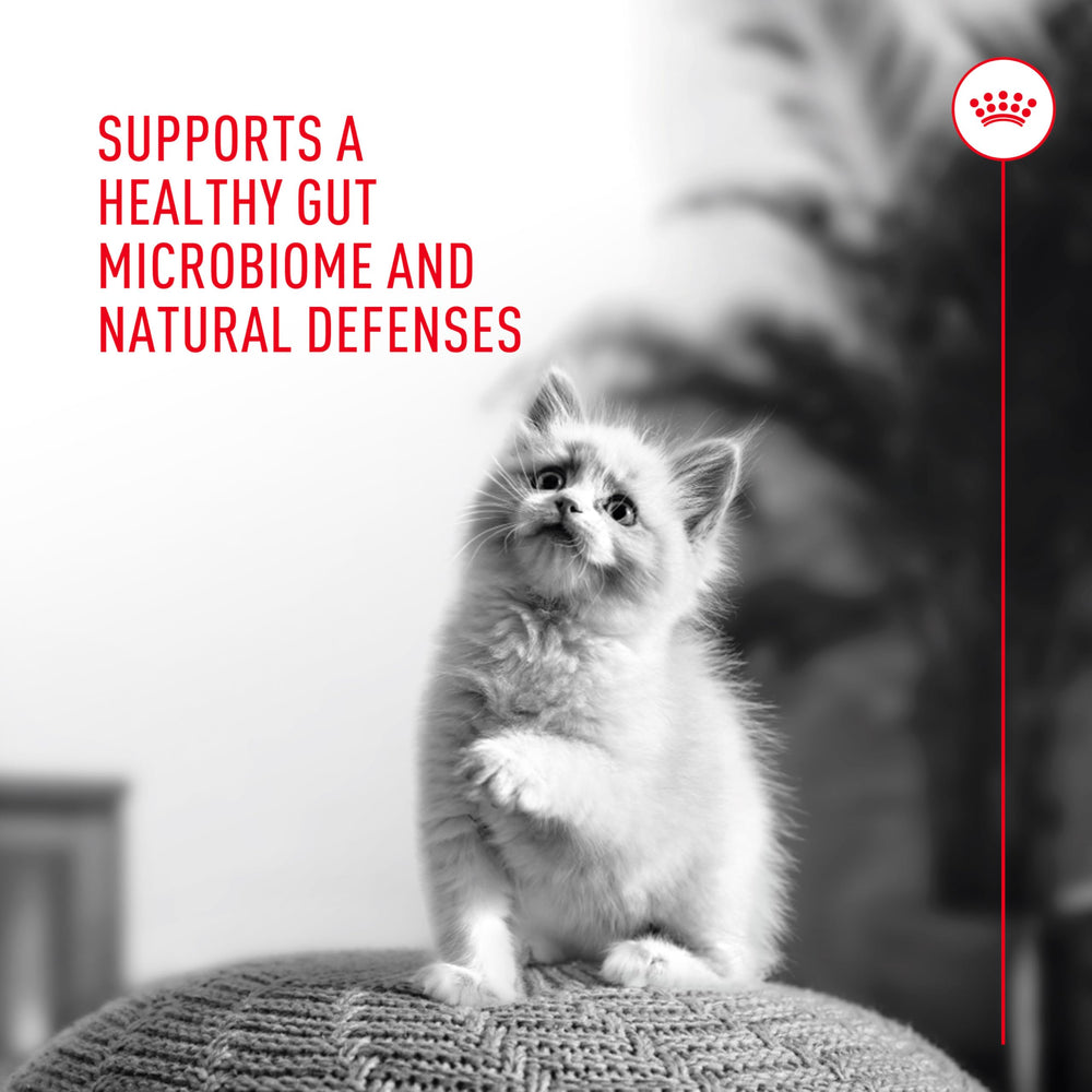 ROYAL CANIN étiquette et instructions faciles à lire pour administration sûre