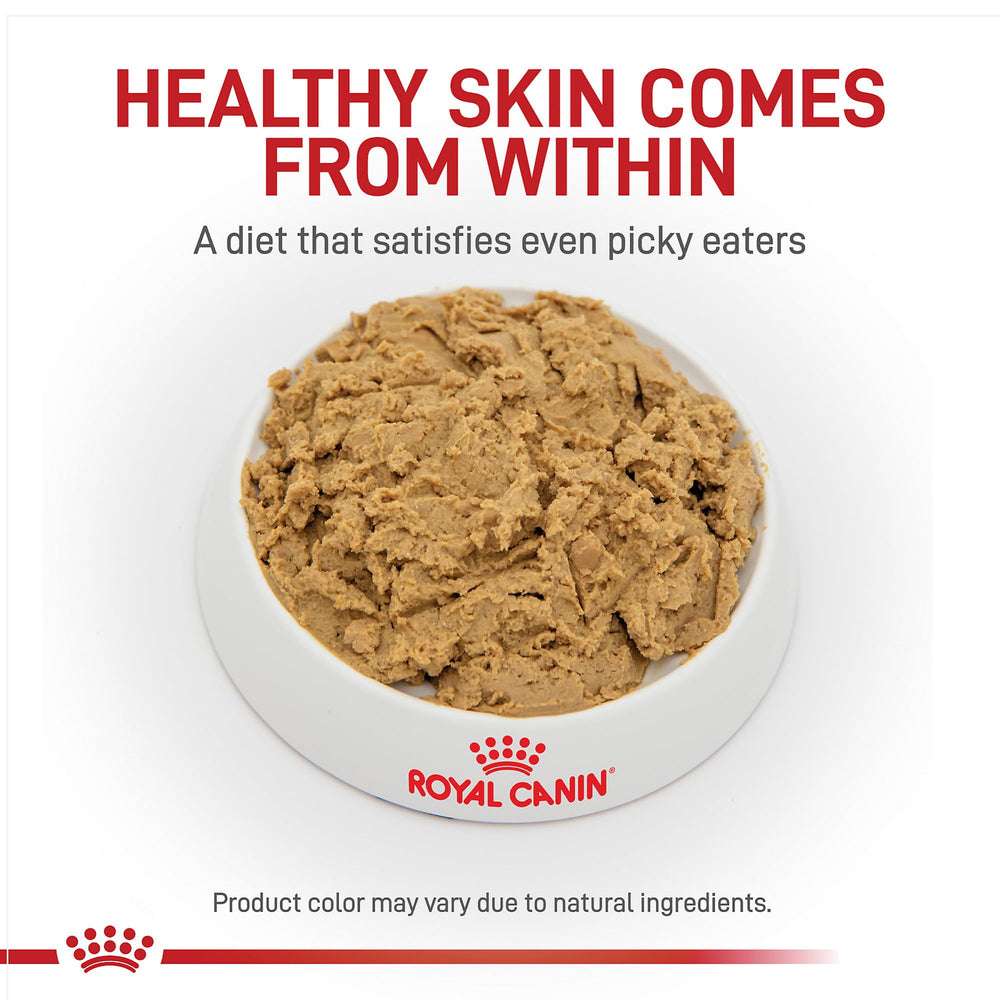 ROYAL CANIN gros plan sur texture de la pâtée, appétence améliorée