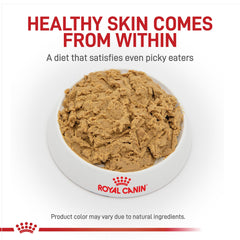 ROYAL CANIN gros plan sur texture de la pâtée, appétence améliorée
