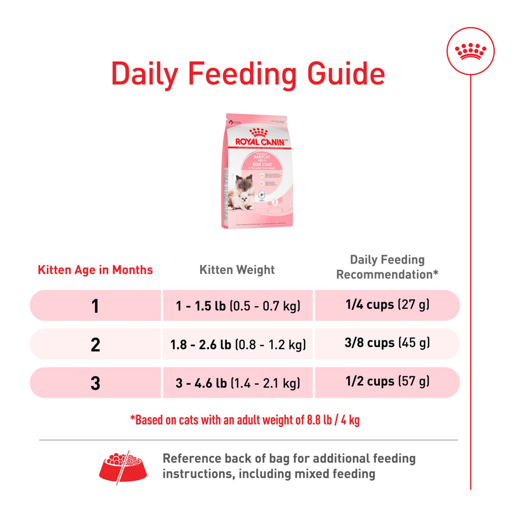 ROYAL CANIN sac 3 lb positionné pour visualiser taille réelle du produit