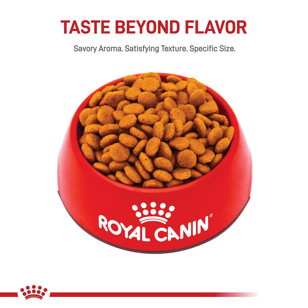 ROYAL CANIN panneau latéral montre informations pour choix éclairé