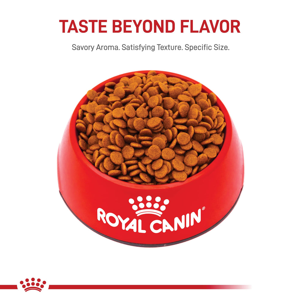 ROYAL CANIN fermeture du sac et sceau qualité pour fraîcheur
