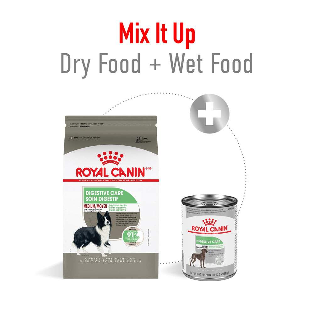 ROYAL CANIN étiquette nutritionnelle lisible indiquant prébiotiques et fibres équilibrées