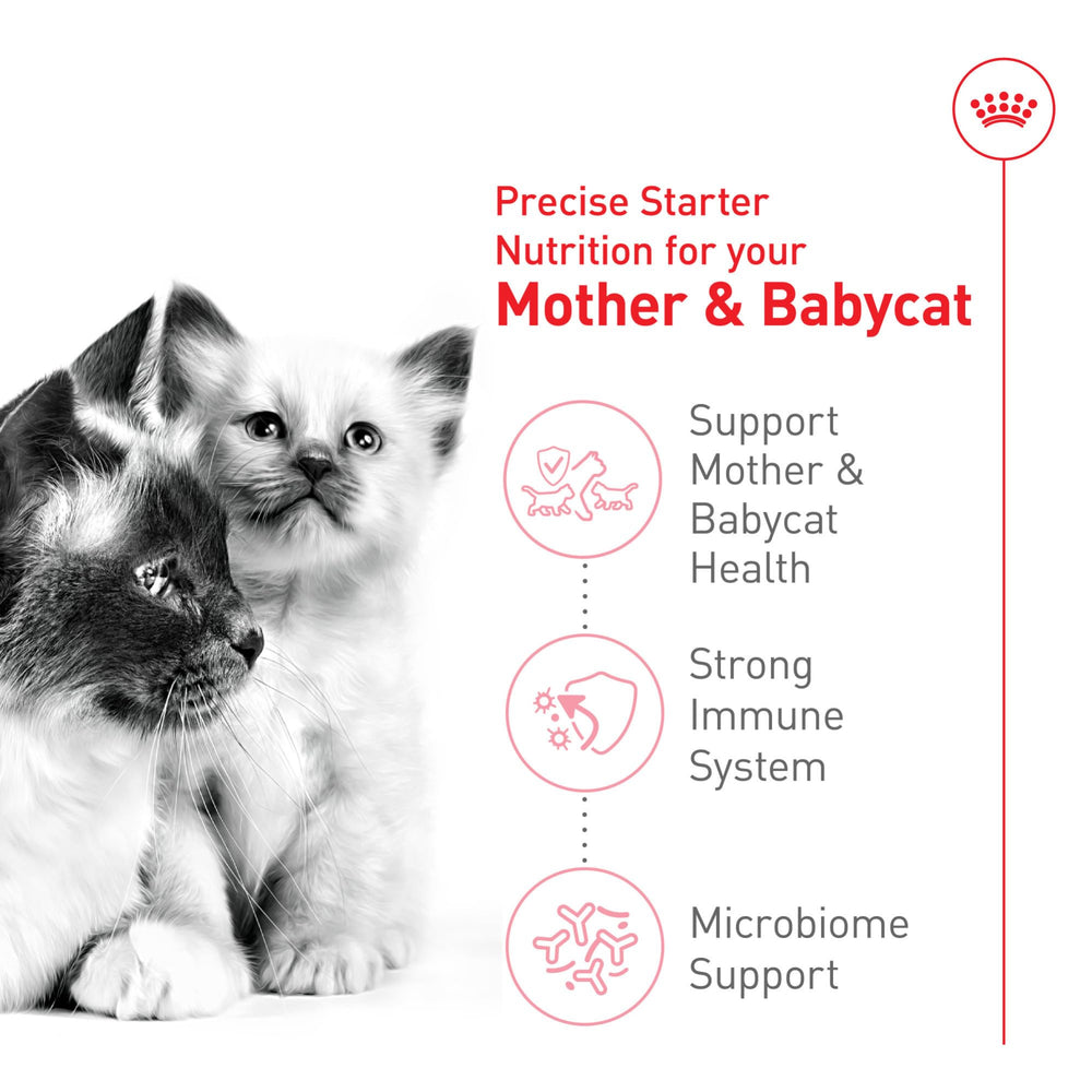 ROYAL CANIN étiquette nutritionnelle présentant antioxydants et prébiotiques