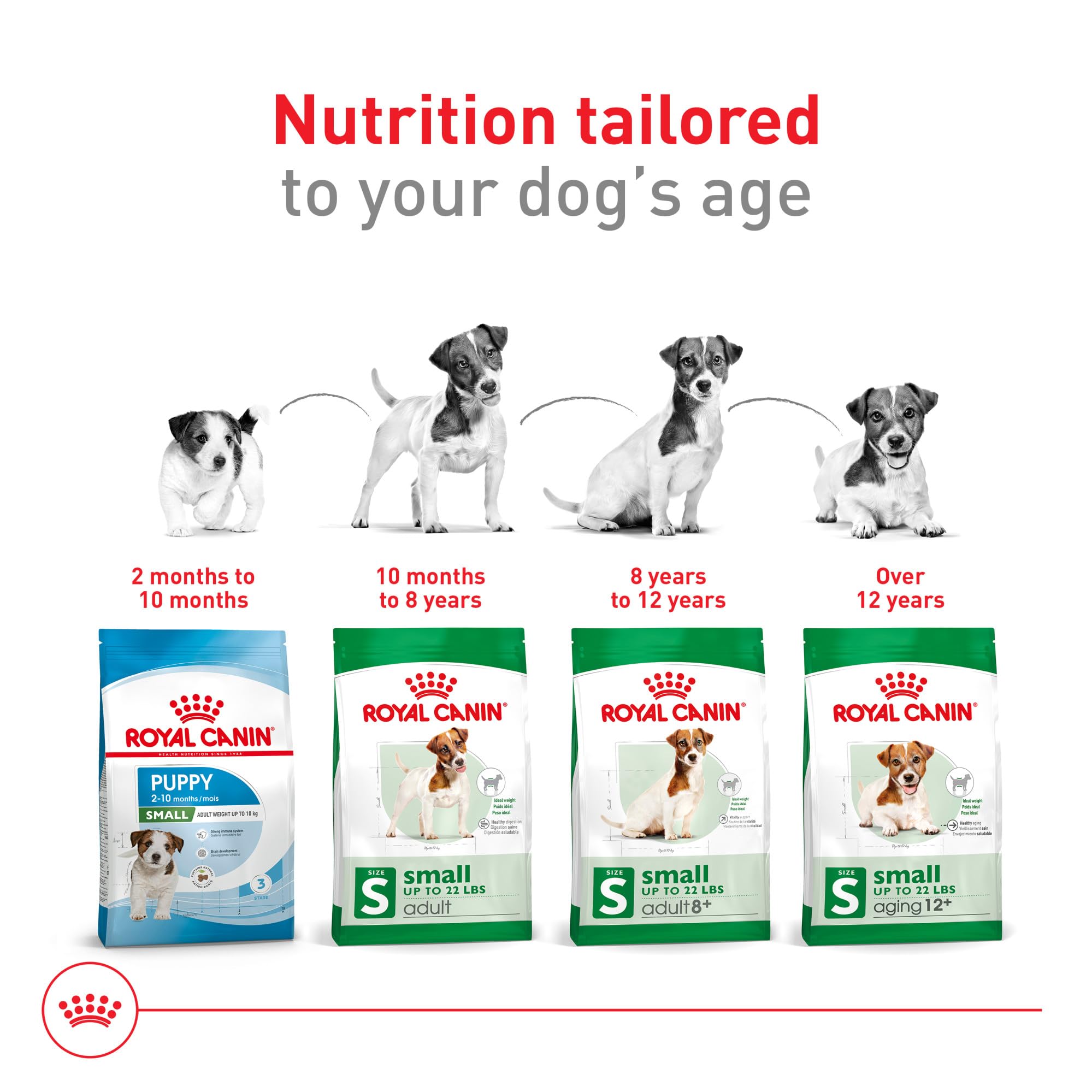 ROYAL CANIN étiquette nutrition close-up pour lisibilité des apports