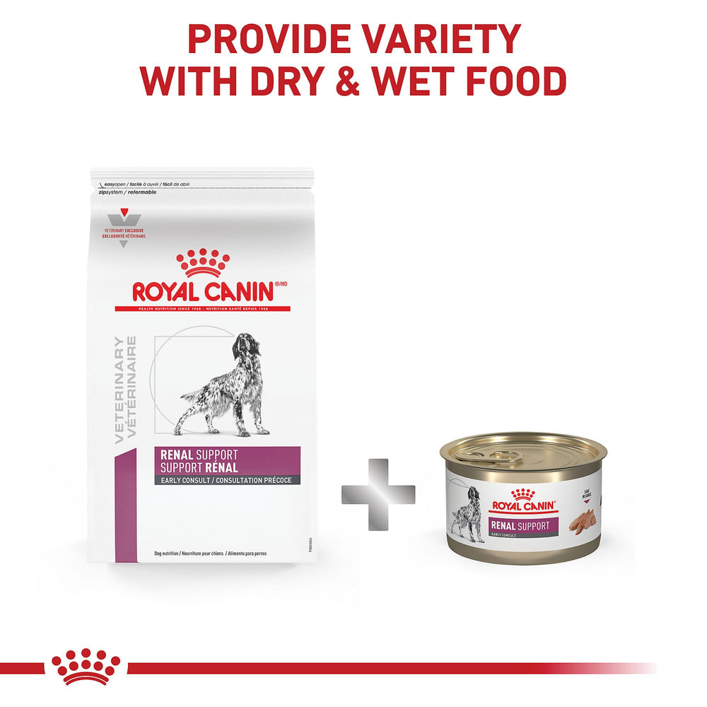 ROYAL CANIN étiquette nutritionnelle détaillée pour lecture des ingrédients