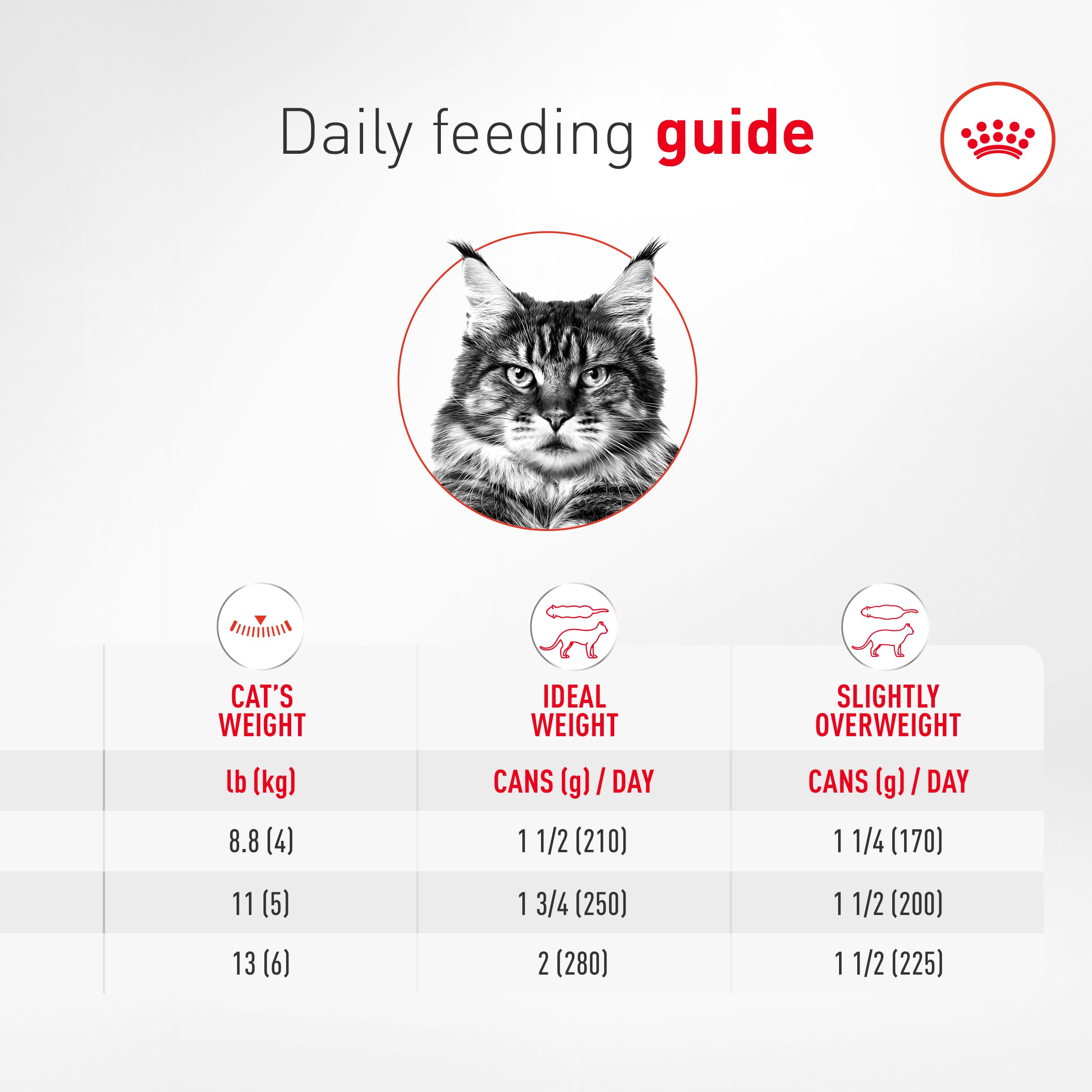 ROYAL CANIN étiquette nutritionnelle détaillée pour choix éclairé