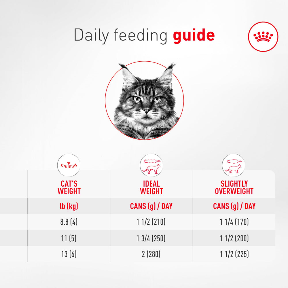 ROYAL CANIN étiquette nutritionnelle détaillée pour choix éclairé