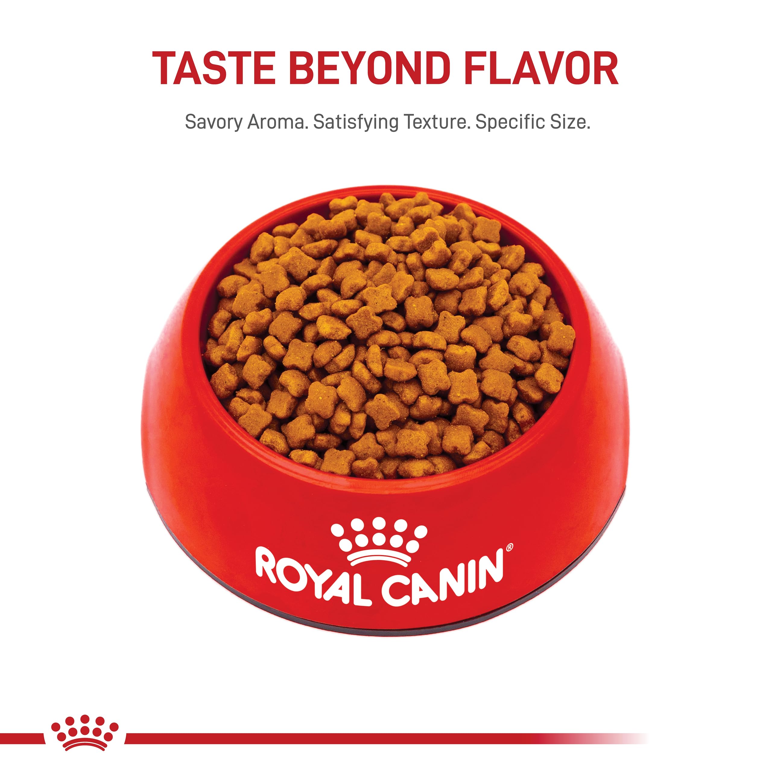 Royal Canin étiquette nutritionnelle détaillée pour transparence des ingrédients
