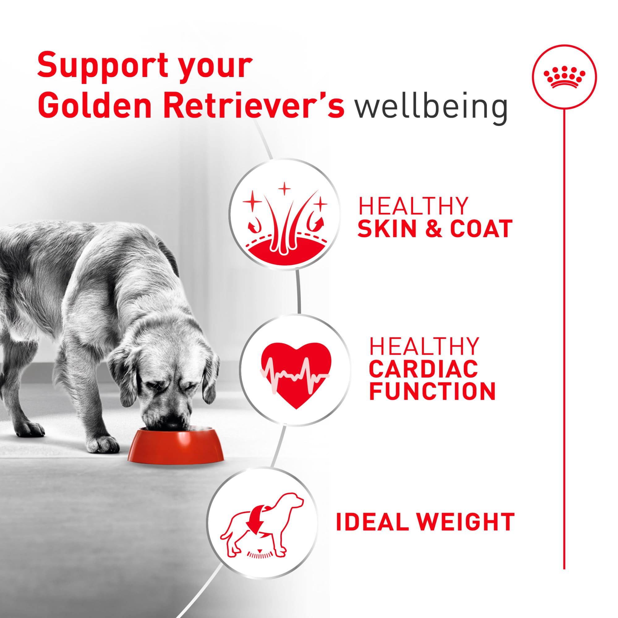 ROYAL CANIN étiquette nutrition mettant en avant nutriments essentiels