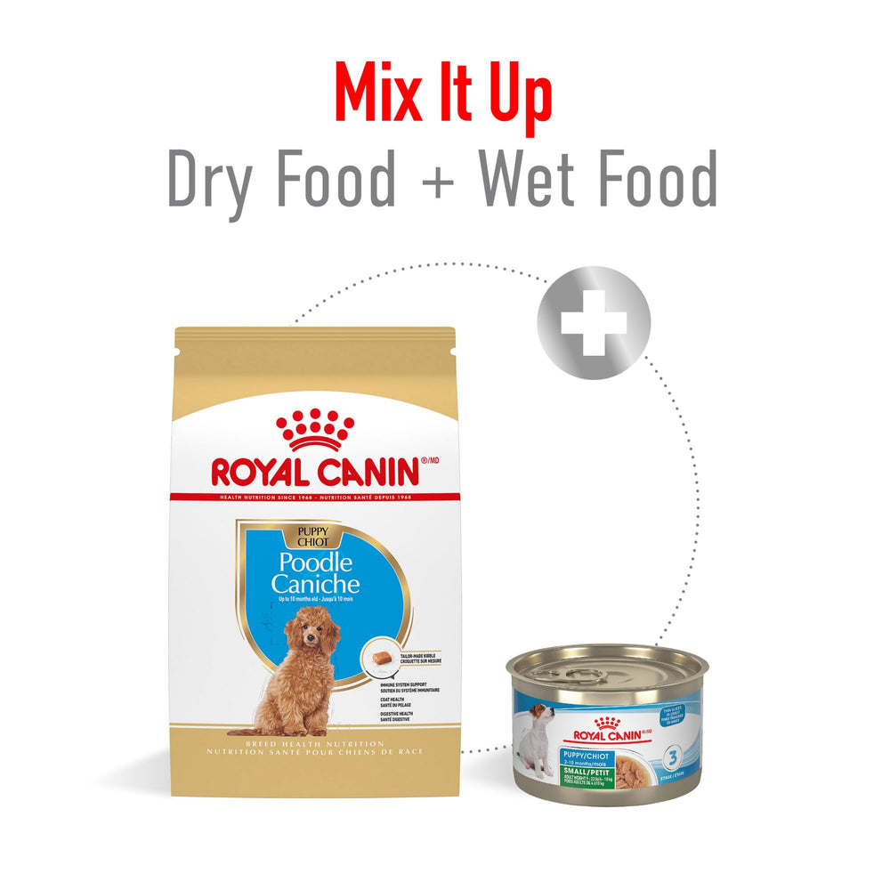 ROYAL CANIN étiquette nutritionnelle lisible montrant composition et bénéfice pour croissance