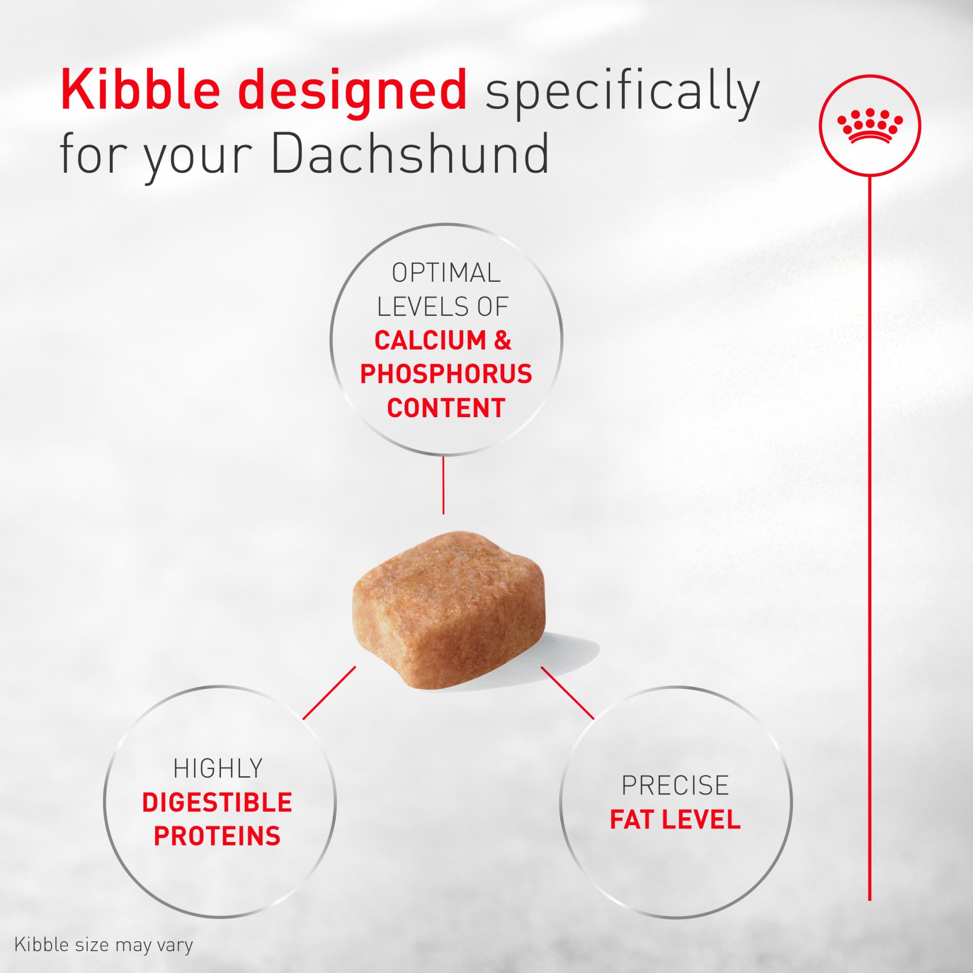 ROYAL CANIN étiquette nutritionnelle détail des minéraux et protéines